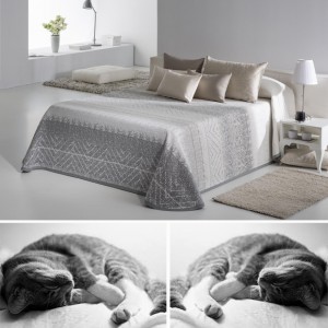 BIGES CH 01 BIGES CH 01