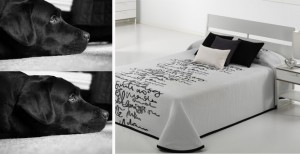 LETTRE CH 08 LETTRE CH 08