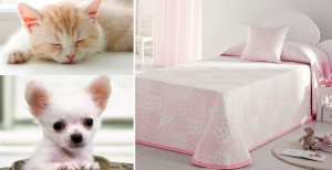 PISPA CH 02 PISPA CH 02