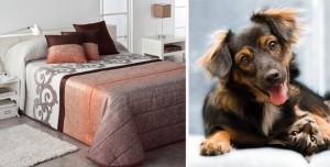 RILEY ·3B copia RILEY ·3B copia