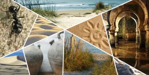 TIERRA ARENA TIERRA ARENA