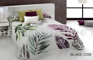 CH BLAKE 09 600 CH BLAKE 09 600