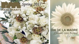 diselo con flores gerbera diselo con flores gerbera