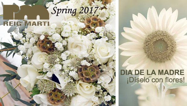 diselo con flores gerbera