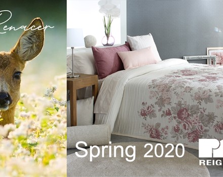 Renacer 22 Renacer 22