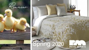 happy Renacer happy Renacer