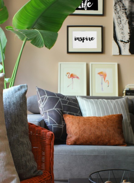 COJINES19_5 COJINES19_5