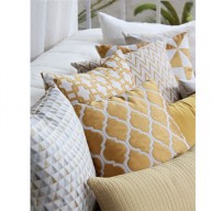 Collection Famous PZ